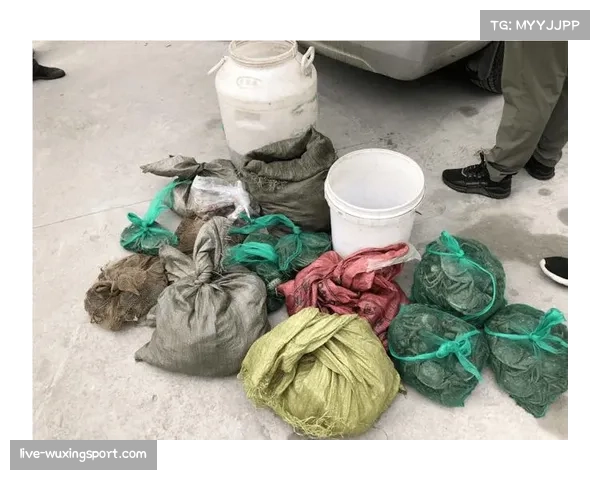 西班牙警方逮捕涉嫌操控欧冠比赛投注的犯罪团伙成员 西班牙警方逮捕涉嫌操控欧冠比赛投注的犯罪团伙成员