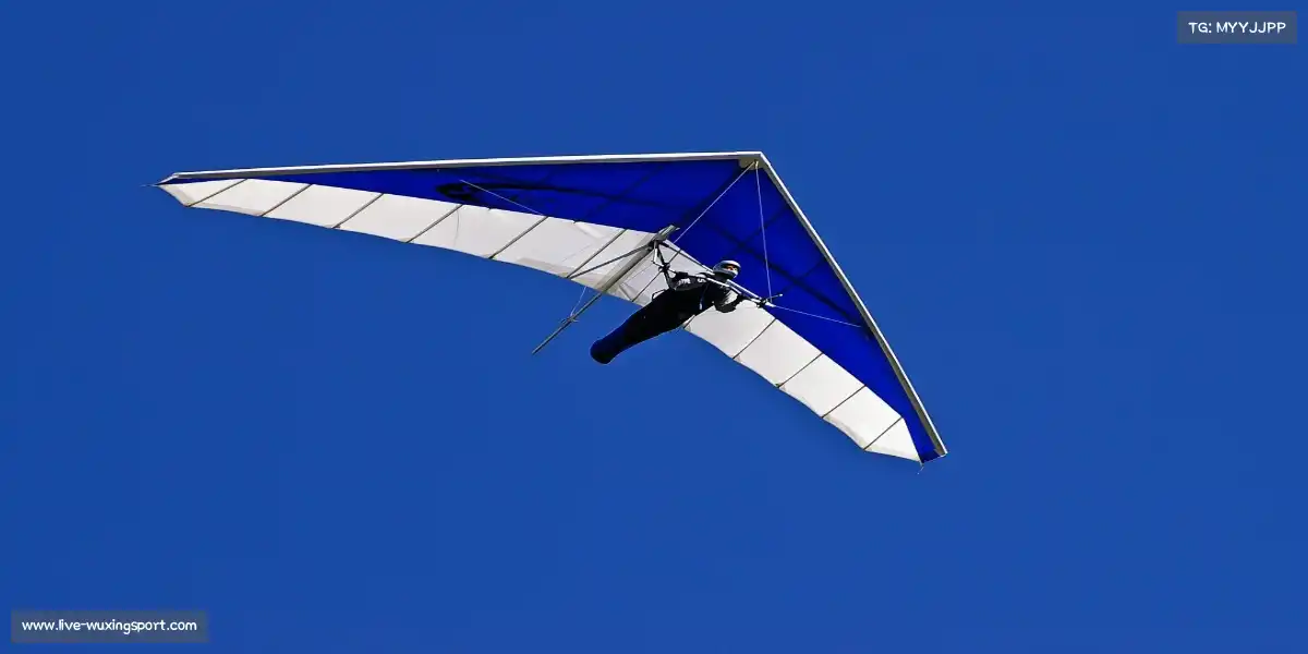 五星体育直播——🤸‍♀️🌠 带操飞舞，星河落练！